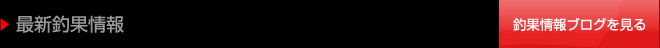 最新釣果情報